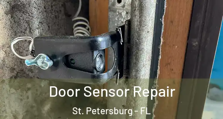  Door Sensor Repair St. Petersburg - FL
