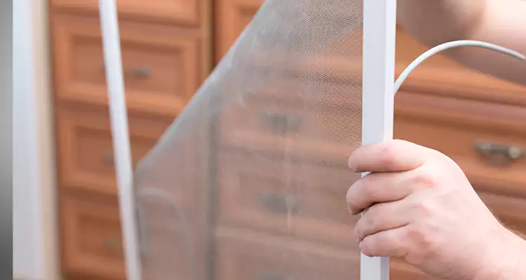 Privacy Mesh Screen Door Installation in St. Petersburg, FL