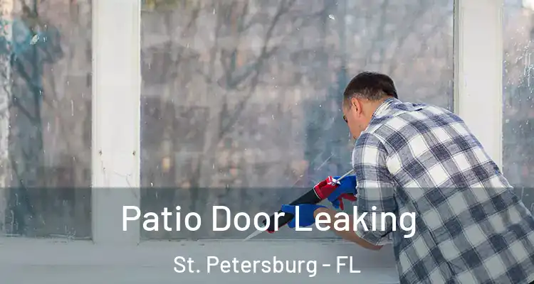  Patio Door Leaking St. Petersburg - FL