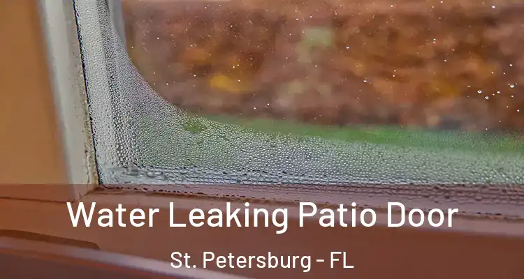  Water Leaking Patio Door St. Petersburg - FL